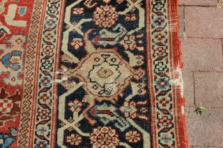 Antique 19th Century Mahal Sultanabad Rug 8 ' 5  x 11 ' 2 11