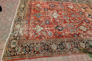Antique 19th Century Mahal Sultanabad Rug 8 ' 5  x 11 ' 2 3