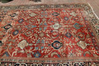 Antique 19th Century Mahal Sultanabad Rug 8 ' 5  x 11 ' 2 6