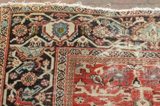 Antique 19th Century Mahal Sultanabad Rug 8 ' 5  x 11 ' 2 7