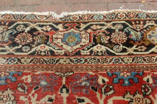 Antique 19th Century Mahal Sultanabad Rug 8 ' 5  x 11 ' 2 8