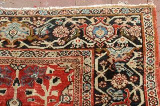 Antique 19th Century Mahal Sultanabad Rug 8 ' 5  x 11 ' 2 9
