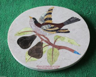 Pietra Dura Marble Stone Inlay Bird Plaque Decorative Rare Collectible Art Gift
