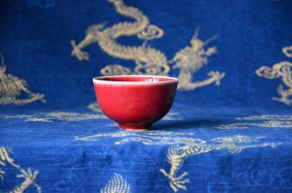 Chinese Antique Lang Yao Ox - Blood Red Glazed Porcelain Bowl With Qianlong Mark