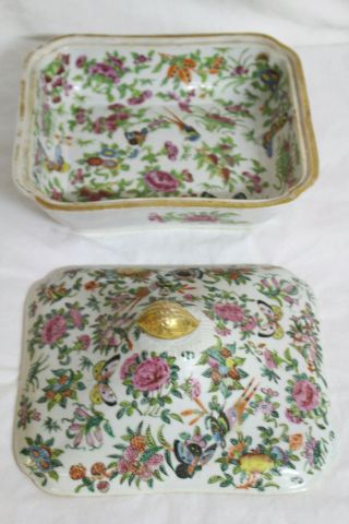 Vintage Chinese Export Soup Tureen.  Thousand Butterfly Pattern.  Hand Painted. 3