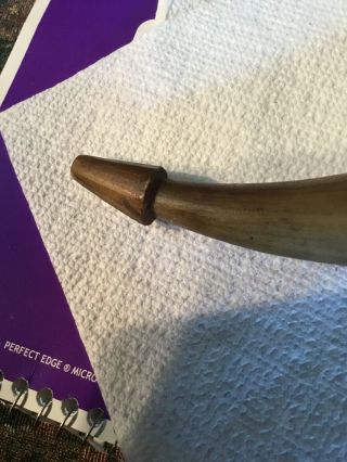 Revolutionary War 18th Century Carved Tip Flat Powder Horn Walnut End 6 Inch L. 2