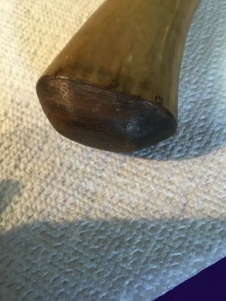 Revolutionary War 18th Century Carved Tip Flat Powder Horn Walnut End 6 Inch L. 5