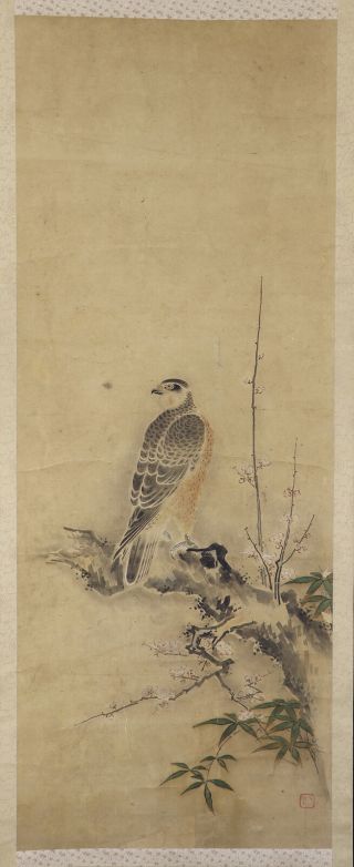 Japanese Hanging Scroll Art Painting " Hawk And Plum Blossoms " E8001