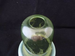 Arts & Crafts Vaseline Glass Ferns Light Shade 3 of 3 - W.  A.  S.  Benson Interest. 2