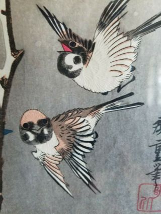 Japanese Woodblock Hiroshige Signed Framed Double Matted Sparrows Camellias 4