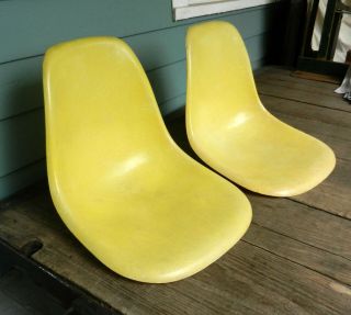 2 Vtg Lemon Yellow Eames Herman Miller Fiberglass Chairs 1st Generation Zenith