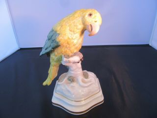 Vintage German Nymphenburg Porcelain Parrot Figurine,  Rare Color 453 B