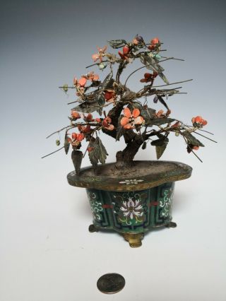 Antique Chinese Coral And Jade Tree With Cloisonne Planter Qing Dynasty 19th
