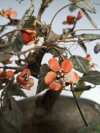 Antique Chinese Coral And Jade Tree With Cloisonne Planter Qing Dynasty 19th 2