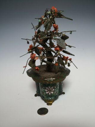 Antique Chinese Coral And Jade Tree With Cloisonne Planter Qing Dynasty 19th 4
