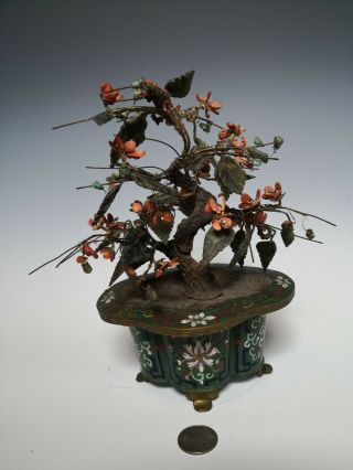 Antique Chinese Coral And Jade Tree With Cloisonne Planter Qing Dynasty 19th 5