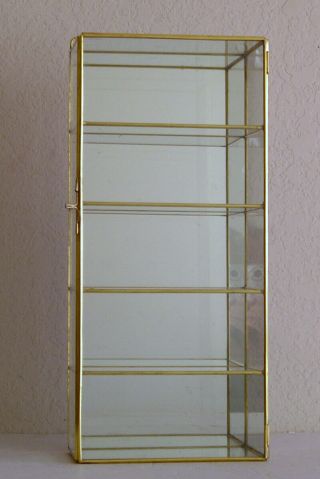Glass & Brass Curio Display Cabinet 16 " X 7 "