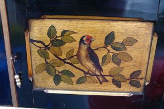 Antique Victorian Aesthetics Ebonised Hanging Shelves Cabinet Bird Painted Panel 6