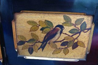 Antique Victorian Aesthetics Ebonised Hanging Shelves Cabinet Bird Painted Panel 7