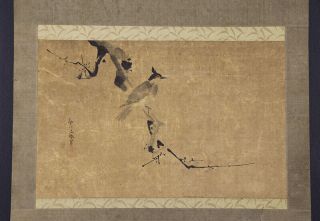 Japanese Hanging Scroll Art Painting " Bird And Flower " Kano Yusen E7955