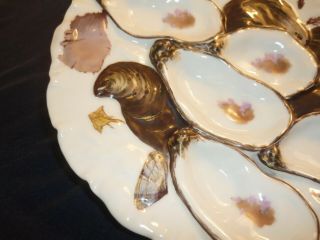 GORGEOUS ANTIQUE HAVILAND LIMOGES TURKEY OYSTER PLATE/DISH WITH SEA LIFE. 2