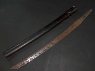 Wakizashi (sword) W/saya : Edo : 22.  4 × 17.  6 " 520g