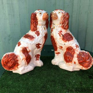 PAIR: VERY LARGE 19thC STAFFORDSHIRE RUSSET RED & WHITE SPANIEL DOGS c1880s 11