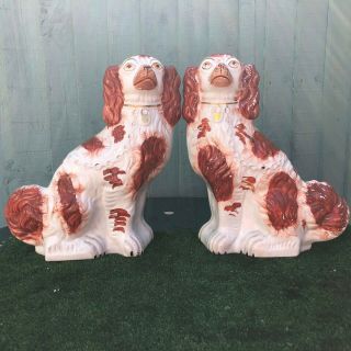 Pair: Very Large 19thc Staffordshire Russet Red & White Spaniel Dogs C1880s