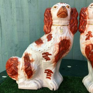 PAIR: VERY LARGE 19thC STAFFORDSHIRE RUSSET RED & WHITE SPANIEL DOGS c1880s 2