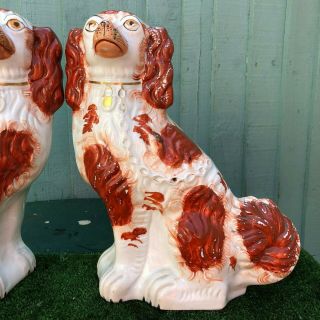 PAIR: VERY LARGE 19thC STAFFORDSHIRE RUSSET RED & WHITE SPANIEL DOGS c1880s 3