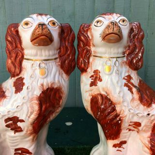 PAIR: VERY LARGE 19thC STAFFORDSHIRE RUSSET RED & WHITE SPANIEL DOGS c1880s 4