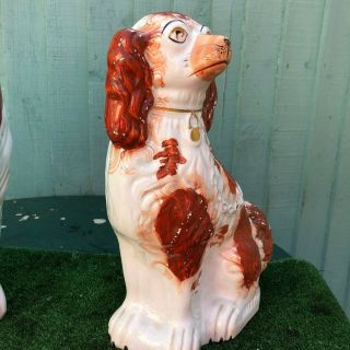 PAIR: VERY LARGE 19thC STAFFORDSHIRE RUSSET RED & WHITE SPANIEL DOGS c1880s 5