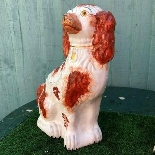 PAIR: VERY LARGE 19thC STAFFORDSHIRE RUSSET RED & WHITE SPANIEL DOGS c1880s 6