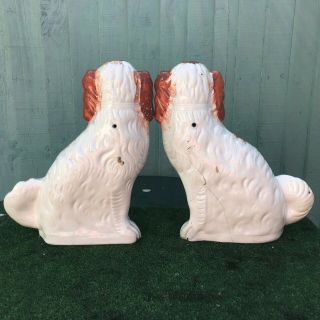PAIR: VERY LARGE 19thC STAFFORDSHIRE RUSSET RED & WHITE SPANIEL DOGS c1880s 8