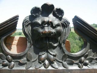 19thc Gothic Oak Carved Pediment With Lion Carved Centrally C.  1860 