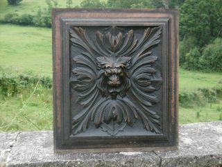19thc Gothic Oak Panel With Lion Carved Centrally & Acanthus Leaf Decor