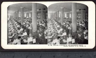 Secretary Typewriter Sears Roebuck & Co Chicago Business photo Stereoview Card 2