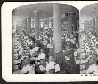 Secretary Typewriter Sears Roebuck & Co Chicago Business photo Stereoview Card 3