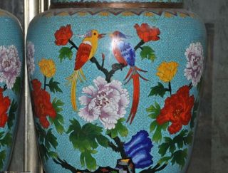 antique Old Chinese bronze Cloisonne peony flower bird Zun Bottle Vase Jar pair 3