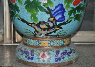 antique Old Chinese bronze Cloisonne peony flower bird Zun Bottle Vase Jar pair 4