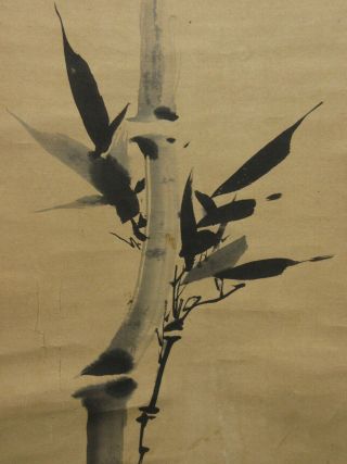 HANGING SCROLL KAKEJIKU / Bamboo and Plum Blossom Trees by Tan - en Kano 狩野探淵 585 6
