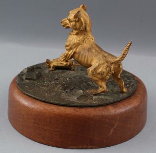 Antique 19thC Dore Gold Gilt Bronze Terrier Dog & Tortoise Turtle Sculpture NR 10