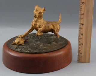 Antique 19thc Dore Gold Gilt Bronze Terrier Dog & Tortoise Turtle Sculpture Nr