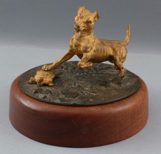 Antique 19thC Dore Gold Gilt Bronze Terrier Dog & Tortoise Turtle Sculpture NR 2