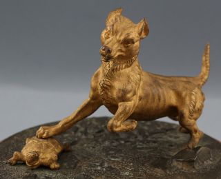 Antique 19thC Dore Gold Gilt Bronze Terrier Dog & Tortoise Turtle Sculpture NR 3