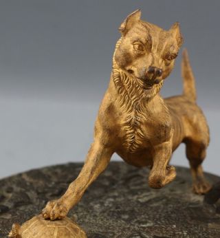 Antique 19thC Dore Gold Gilt Bronze Terrier Dog & Tortoise Turtle Sculpture NR 5