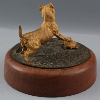 Antique 19thC Dore Gold Gilt Bronze Terrier Dog & Tortoise Turtle Sculpture NR 9