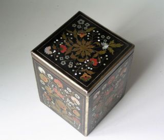 19th Century Antique Inlaid Tea Caddy Box,  Unusual Wood
