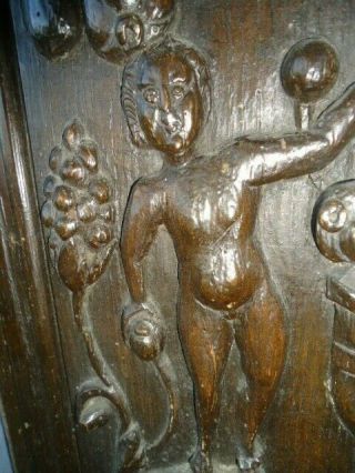 Rare 16th Century Oak Carved Coffer Panel,  Naked Figures With Fruiting Scrolls