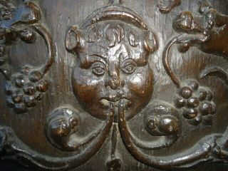 RARE 16TH CENTURY OAK CARVED COFFER PANEL,  NAKED FIGURES WITH FRUITING SCROLLS 4